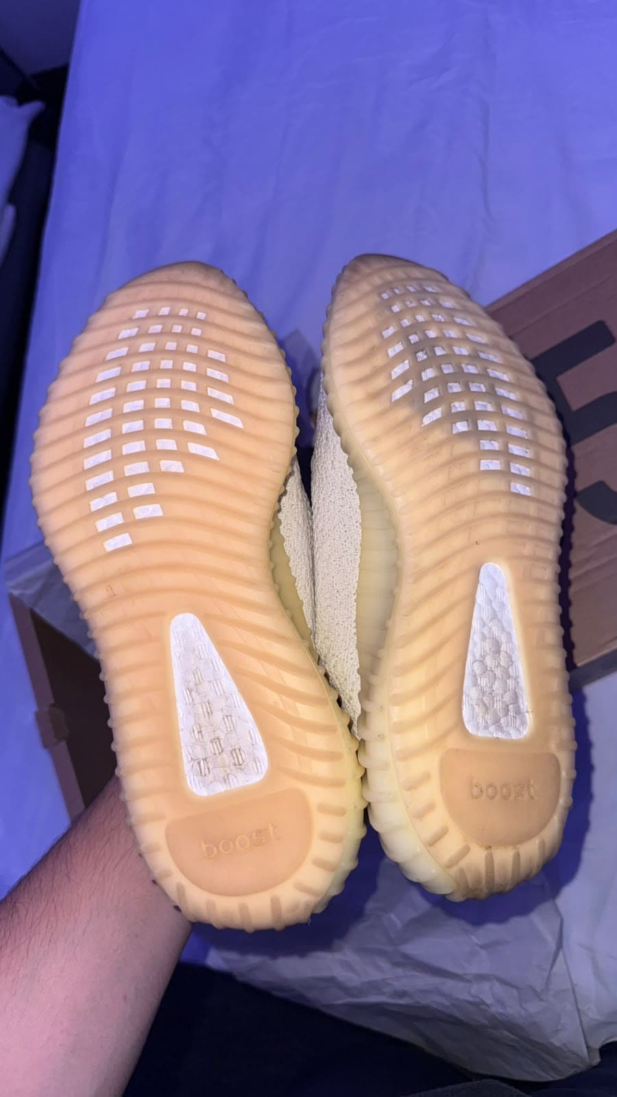 Adidas Yeezy 350