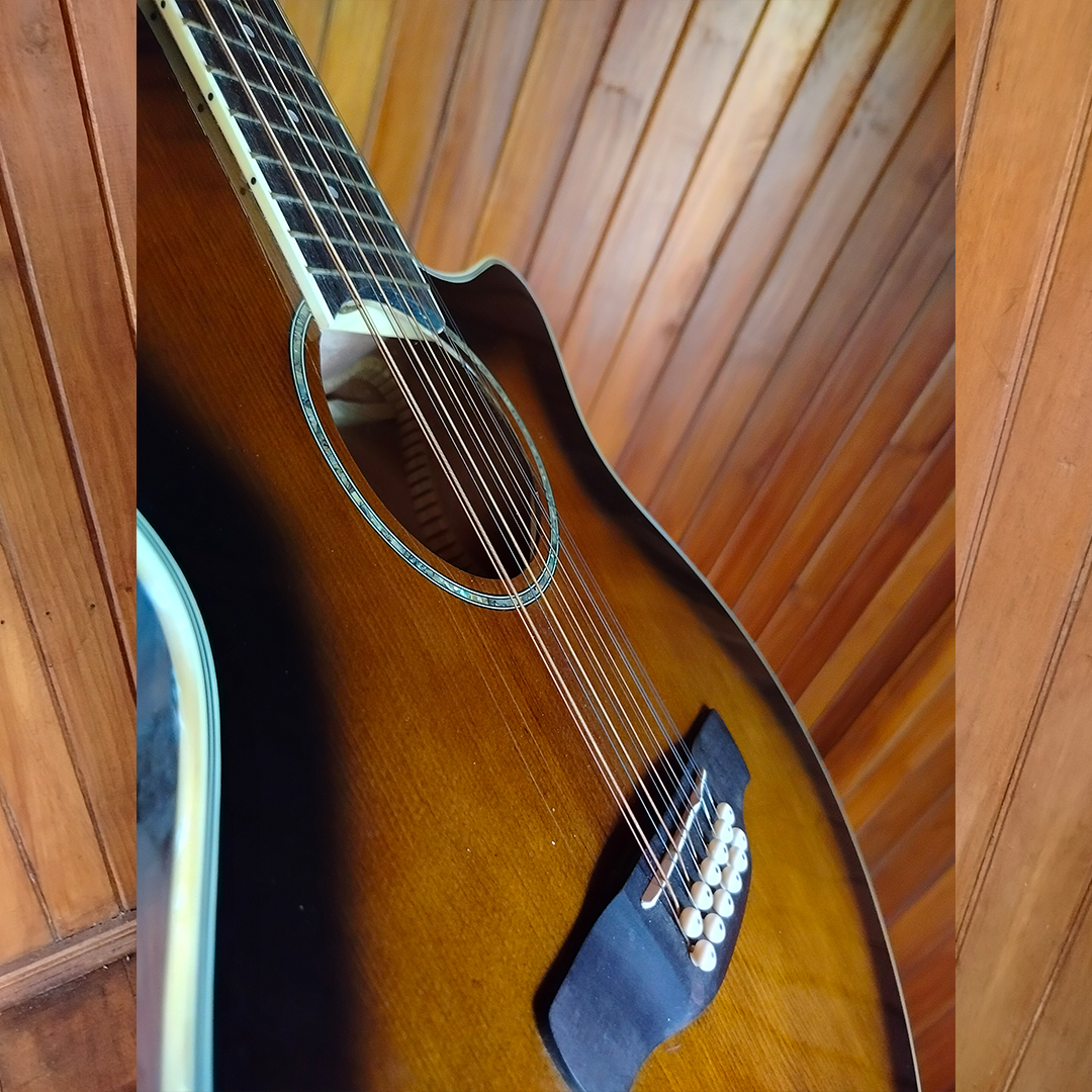 GUITARRA ELECTROACÚSTICA DE 12 CUERDAS IBANEZ