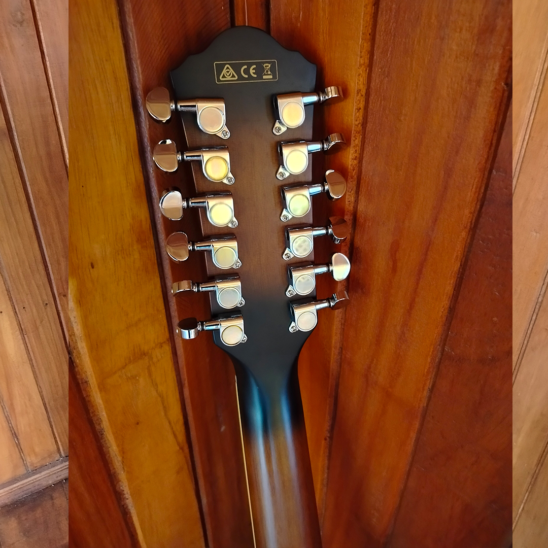 GUITARRA ELECTROACÚSTICA DE 12 CUERDAS IBANEZ