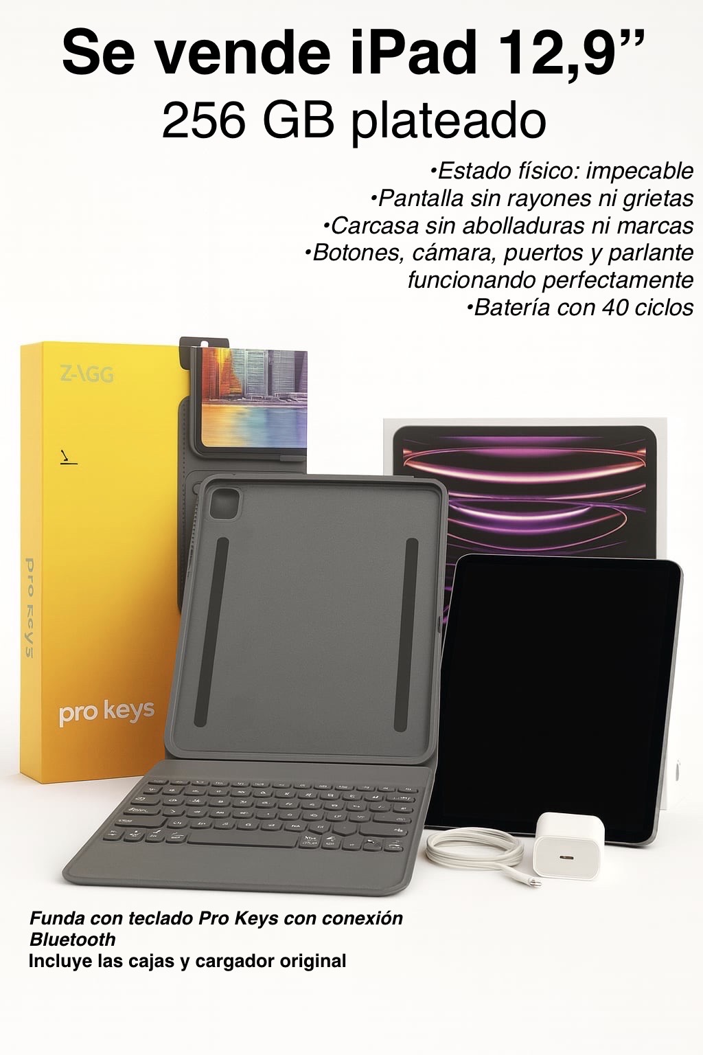 iPad Pro 12,9” 