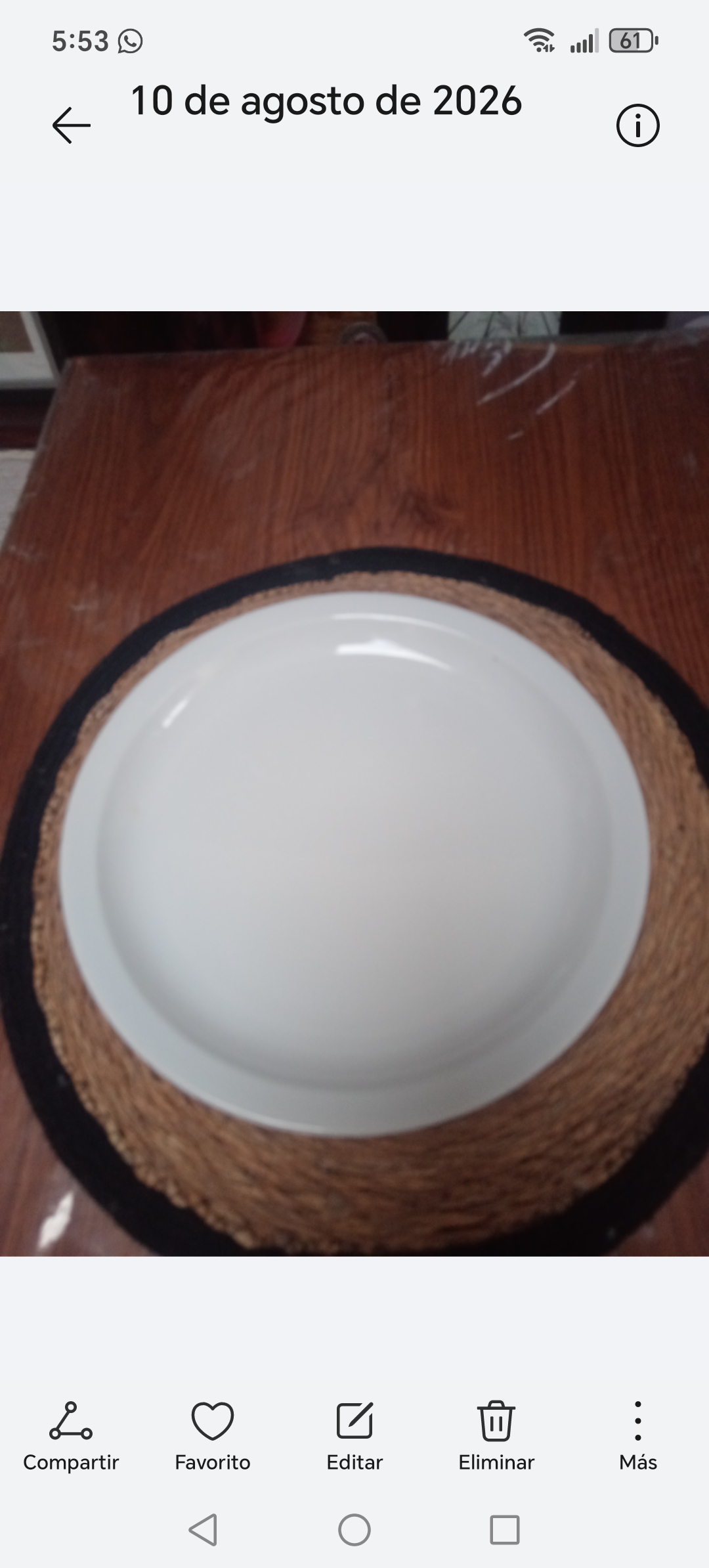 Lote 50 Platos  de ceramica  grandes