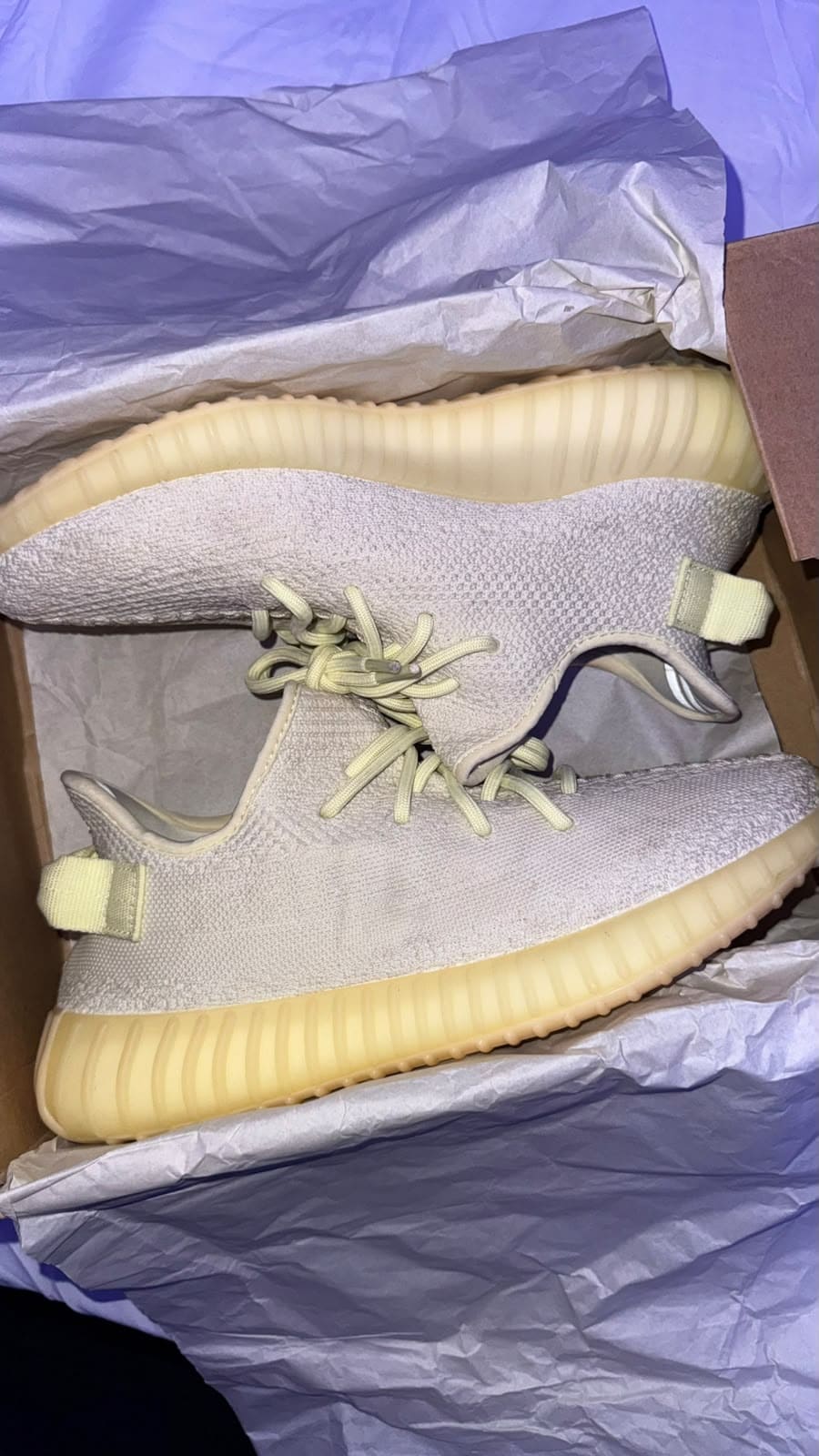Adidas Yeezy 350
