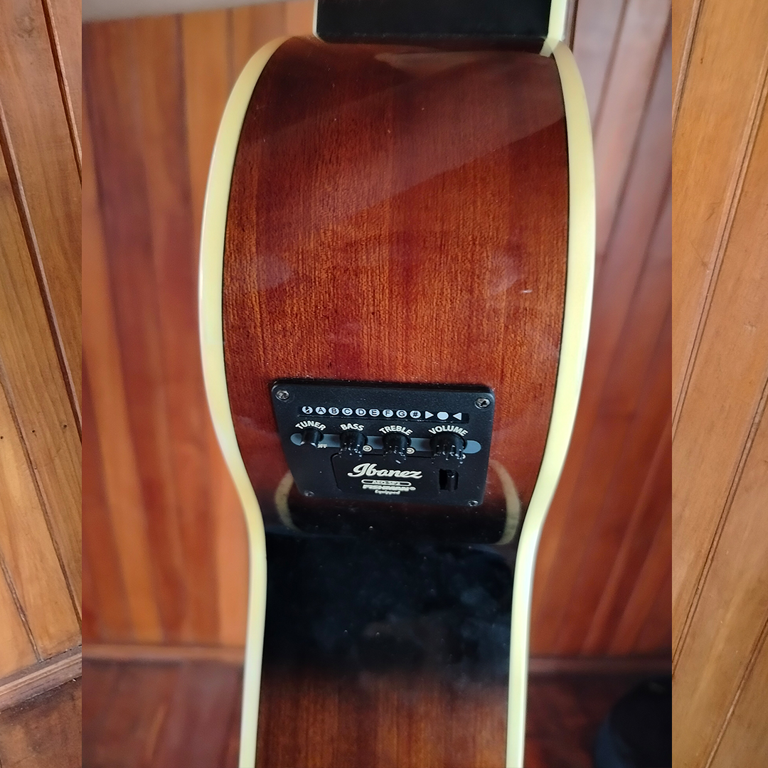 GUITARRA ELECTROACÚSTICA DE 12 CUERDAS IBANEZ