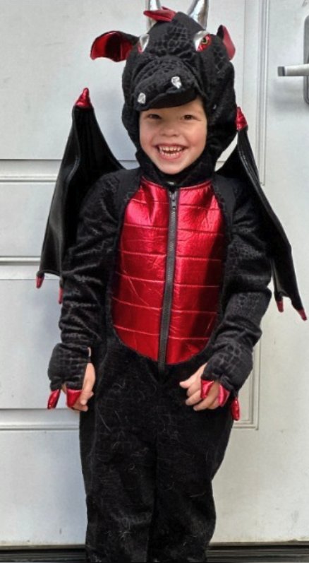 Disfraz de Dragon ( 2-3 años) como nuevo