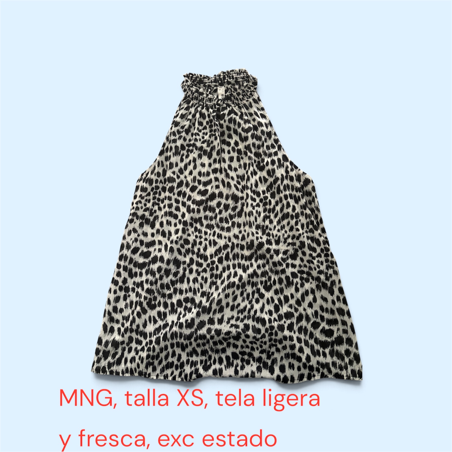 Blusa